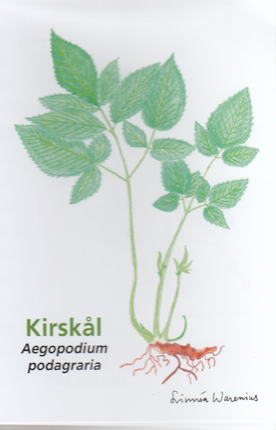 Kirsk%C3%A5l Kirsk%C3%A5l