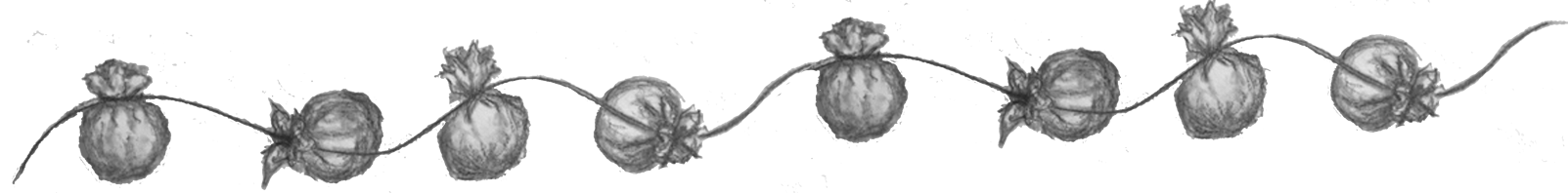 b%C3%B6neknytenHS b%C3%B6neknytenHS