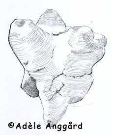 Fig. 2 An abstract Swedish clay figurine from Korsnäs, Södermanland, around 2600 BCE, from the History Museum, Stockholm. The present view can be seen as a pig with its snout in the air? However two schismatic animals and a human form can be found by twisting the shape around. AdeleHisMussmall