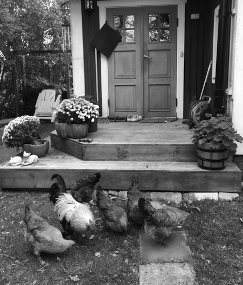 h%C3%B6norUllaHS h%C3%B6norUllaHS